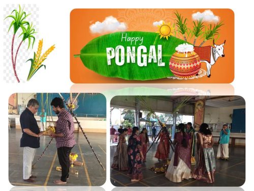 Pongal-1